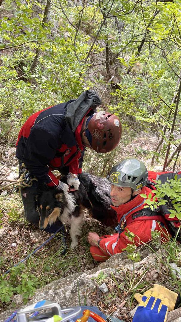 Riječki HGSS u dvodnevnoj akciji spasio je psa koji se nalazio na dnu strme jaruge u zaleđu Brseča.
