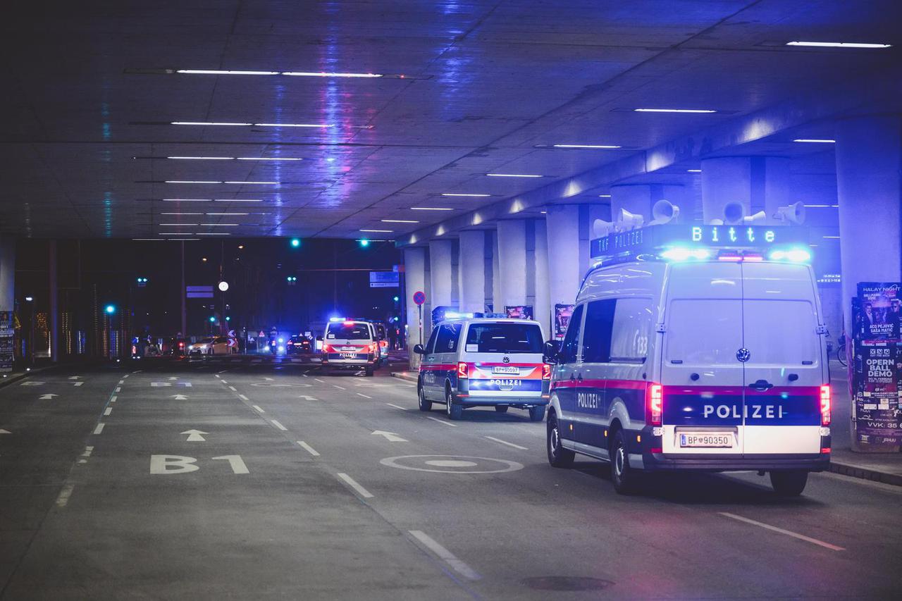 AUT, Demonstration gegen den Opernball in Wien