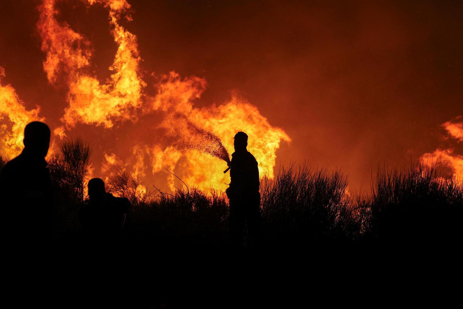 Firefighters try to extinguish a wildfire burning in Dionysos, Greece, August 12, 2024. REUTERS/Alexandros Avramidis Photo: ALEXANDROS AVRAMIDIS/REUTERS