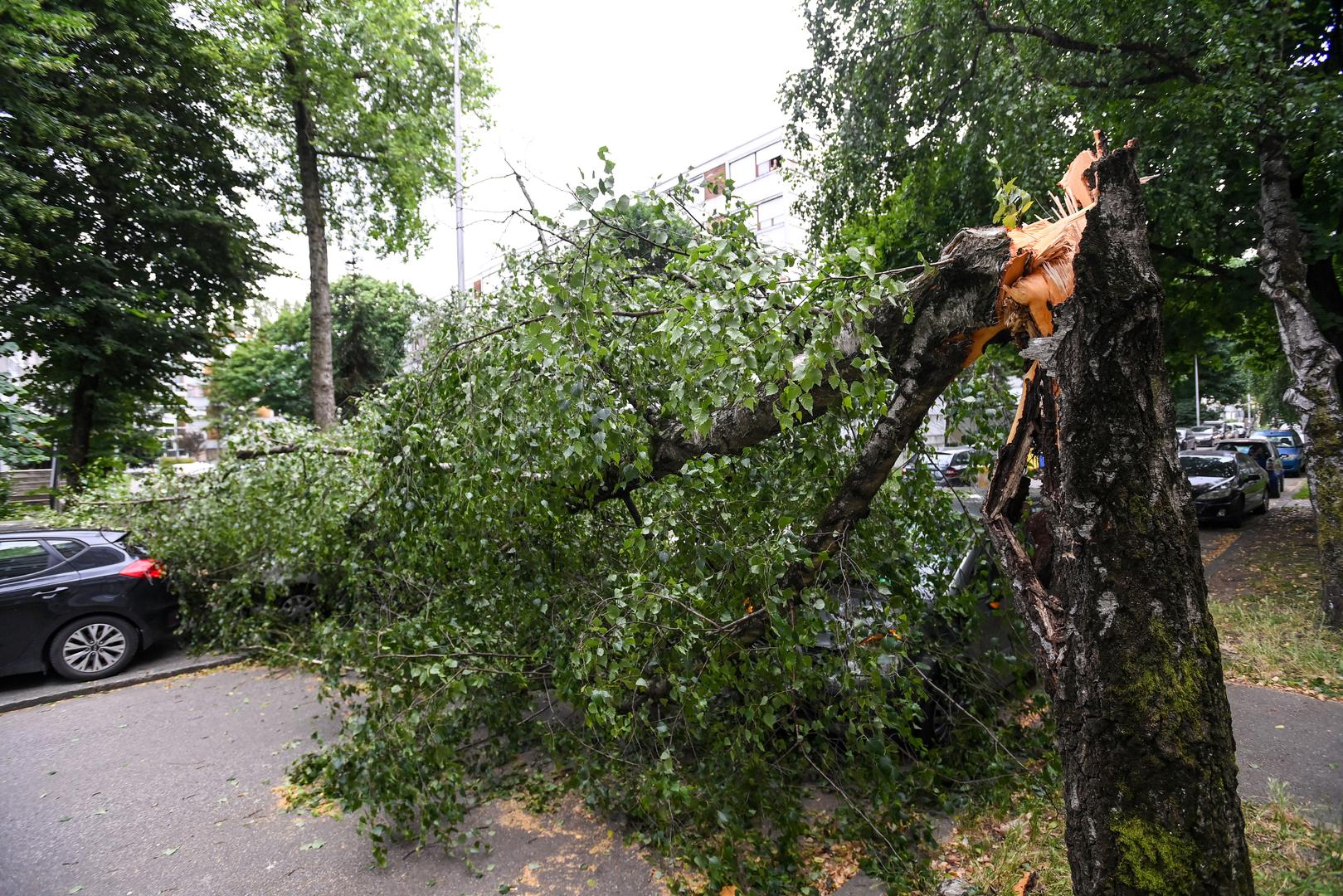 23.06.2023.,Zagreb - Olujni vjetar srusio  stablo u Ulici Ante Jaksica  , tri automobila ostecena Photo: Igor Soban/PIXSELL