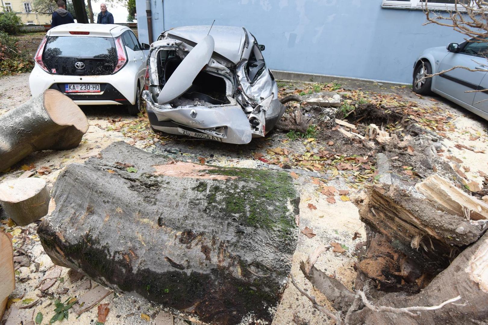 Jak vjetar sinoć je srušio stablo uz neposrednu blizinu Osnovne škole Petar Preradović. 