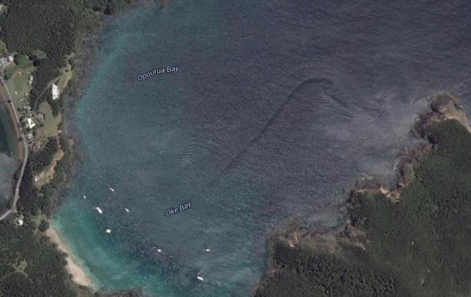 Misteriozno biće na Google Earthu 