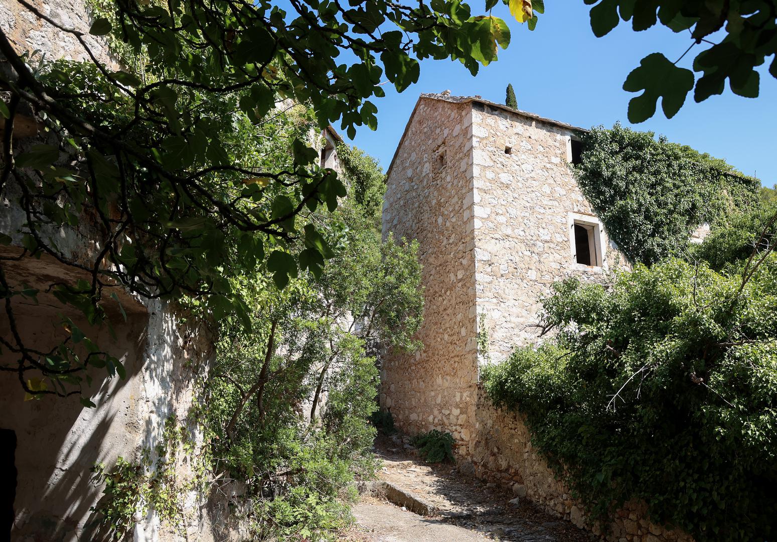 25. 07. 2024., Hvar- napusteno selo selo Malo Grablje u koje se prvi vratio Berti Tudor i otvorio obiteljski restoran u koji se moze doc samo po rezervaciji.  Photo: Ivana Ivanovic/PIXSELL