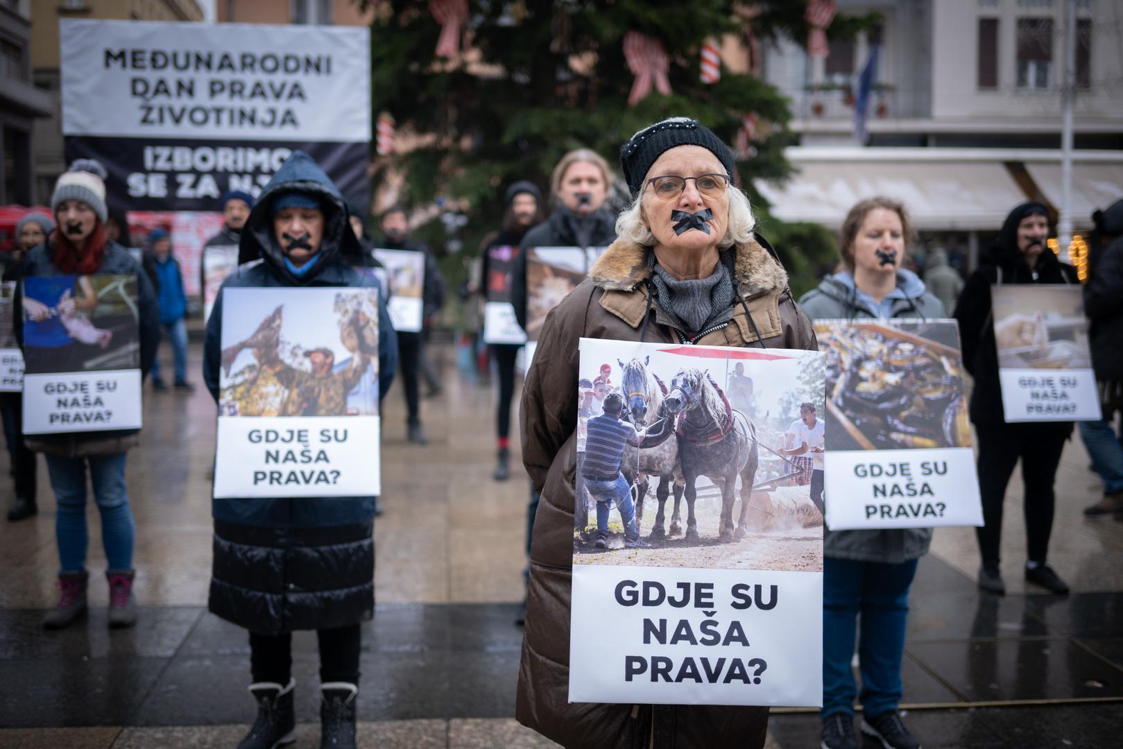 Povodom Međunarodnog dana prava životinja, Prijatelji životinja održali su performans na središnjem zagrebačkom trgu kojim su obilježili taj značajan dan za životinje i sve koji mare za njihova prava