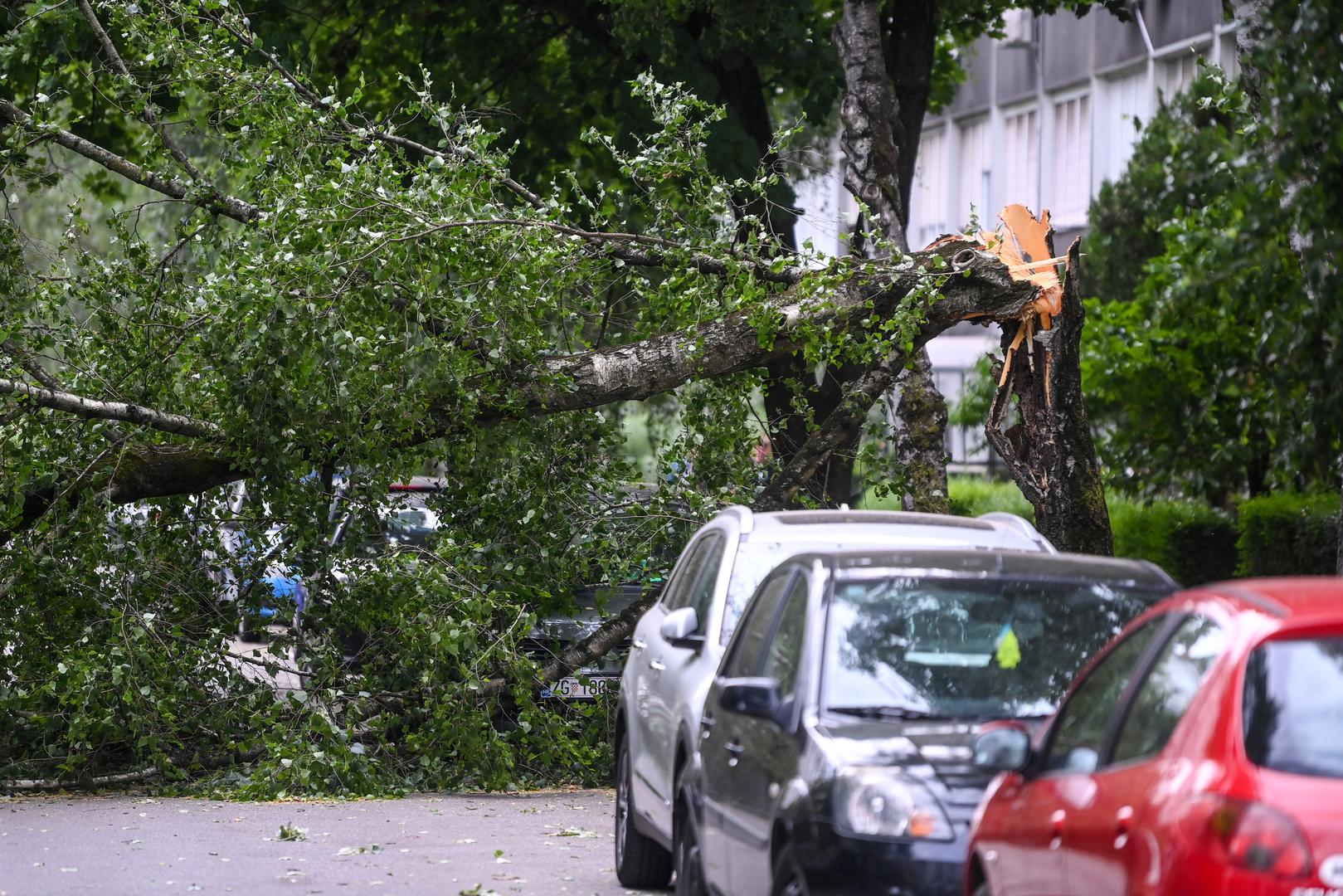 23.06.2023.,Zagreb - Olujni vjetar srusio  stablo u Ulici Ante Jaksica  , tri automobila ostecena Photo: Igor Soban/PIXSELL