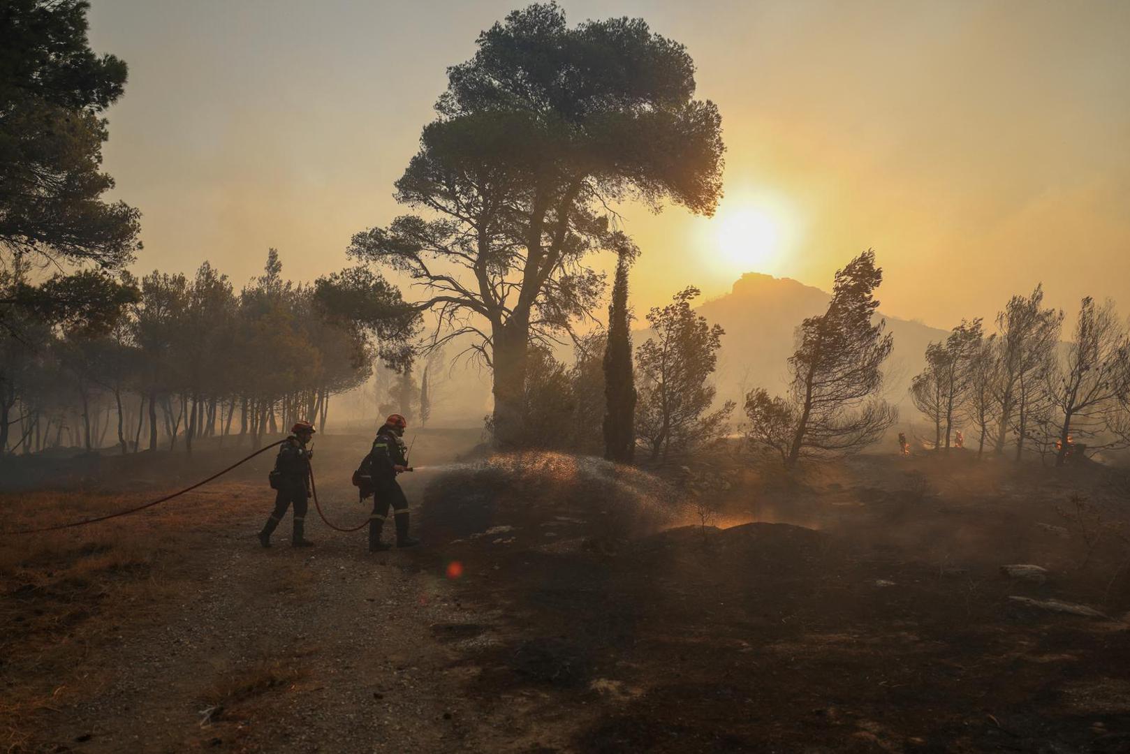 Firefighters try to extinguish a wildfire burning in Penteli, Greece, August 12, 2024. REUTERS/Stelios Misinas Photo: STELIOS MISINAS/REUTERS