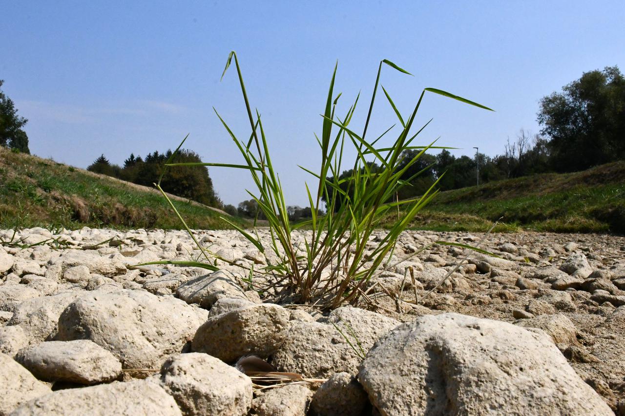 Požega: Zbog dugotrajne suše gotovo potpuno presušila rijeka Orljava