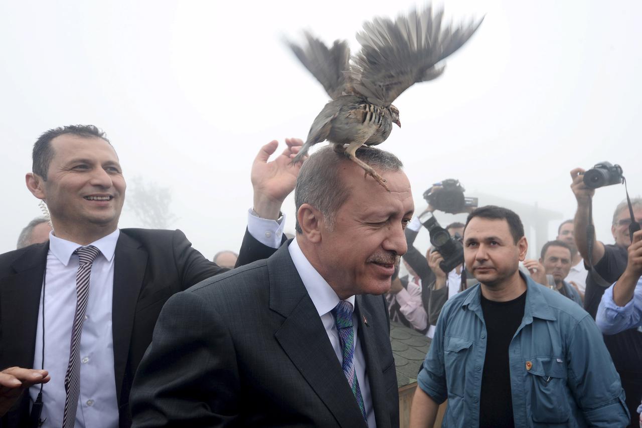 Recep Tayyip Erdoğan