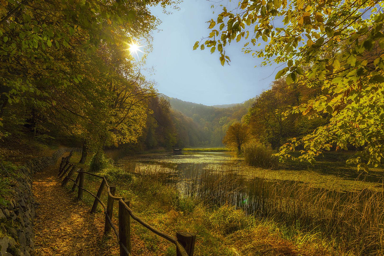 Park šuma Jankovac