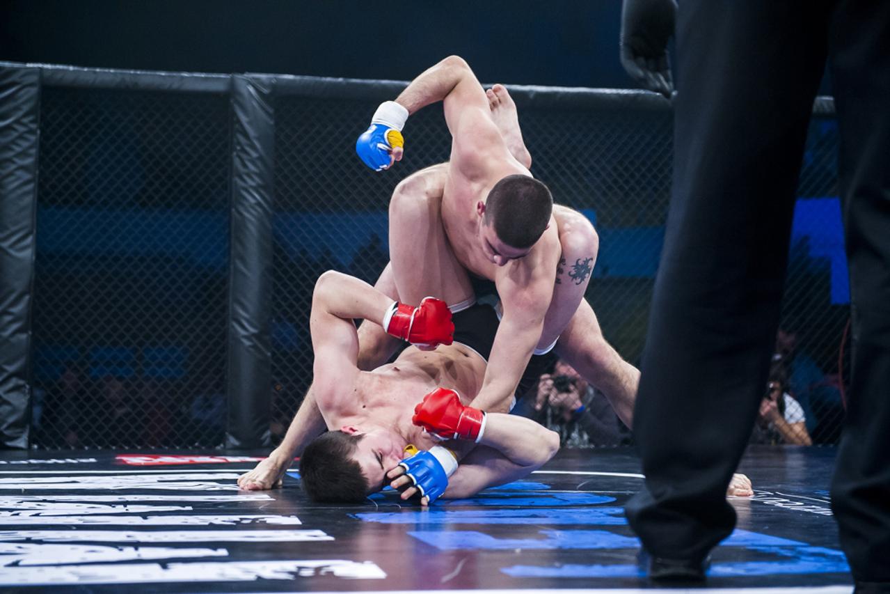 Hrvatska MMA liga (1)