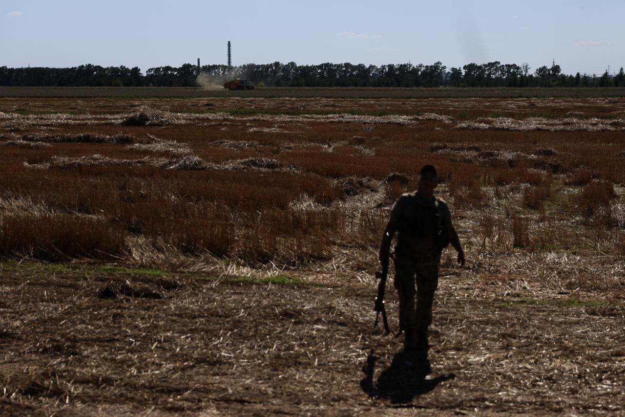 An Ukrainian serviceman looks up as a combine harvests wheat in a field in Kharkiv