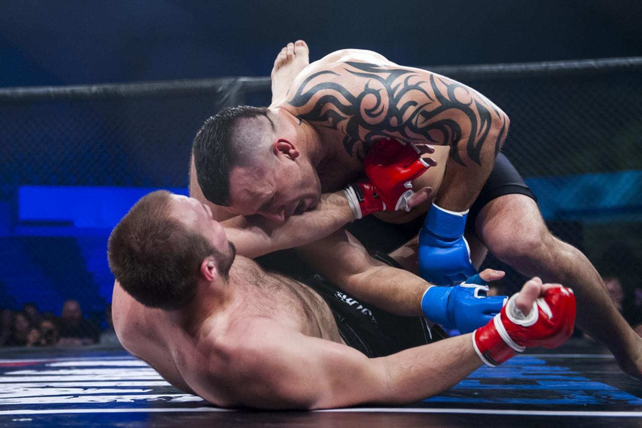 Hrvatska MMA liga (1)