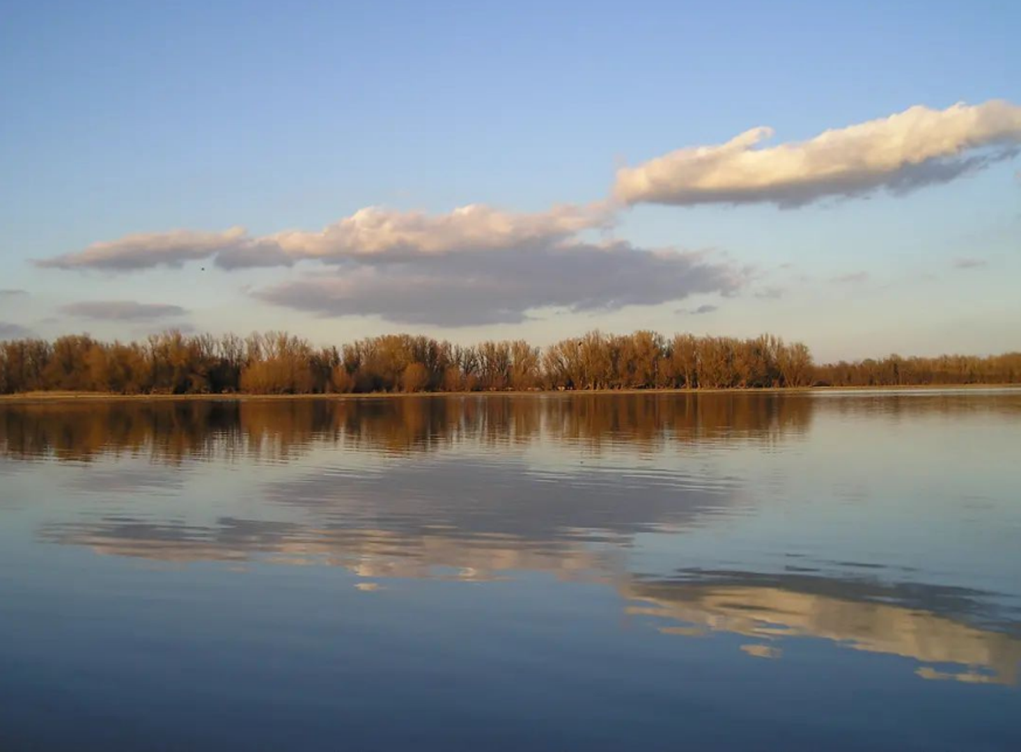 Park prirode Kopački rit skolonište je stotinama ptičjih vrsta te je jedna od najvećih europskih močvara, a zovu ga jednim od najljepših parkova prirode u Europi.