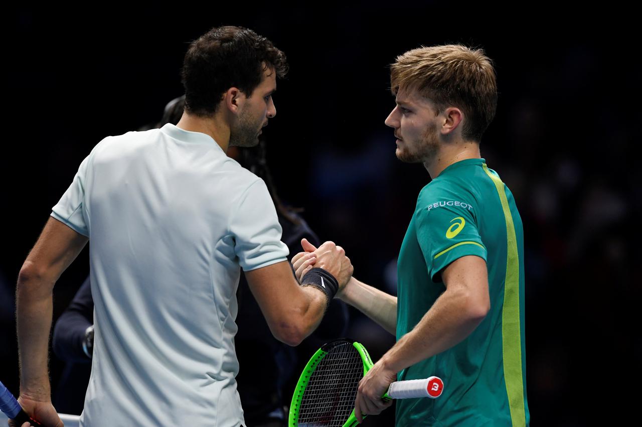 Grigor Dimitrov i David Goffin