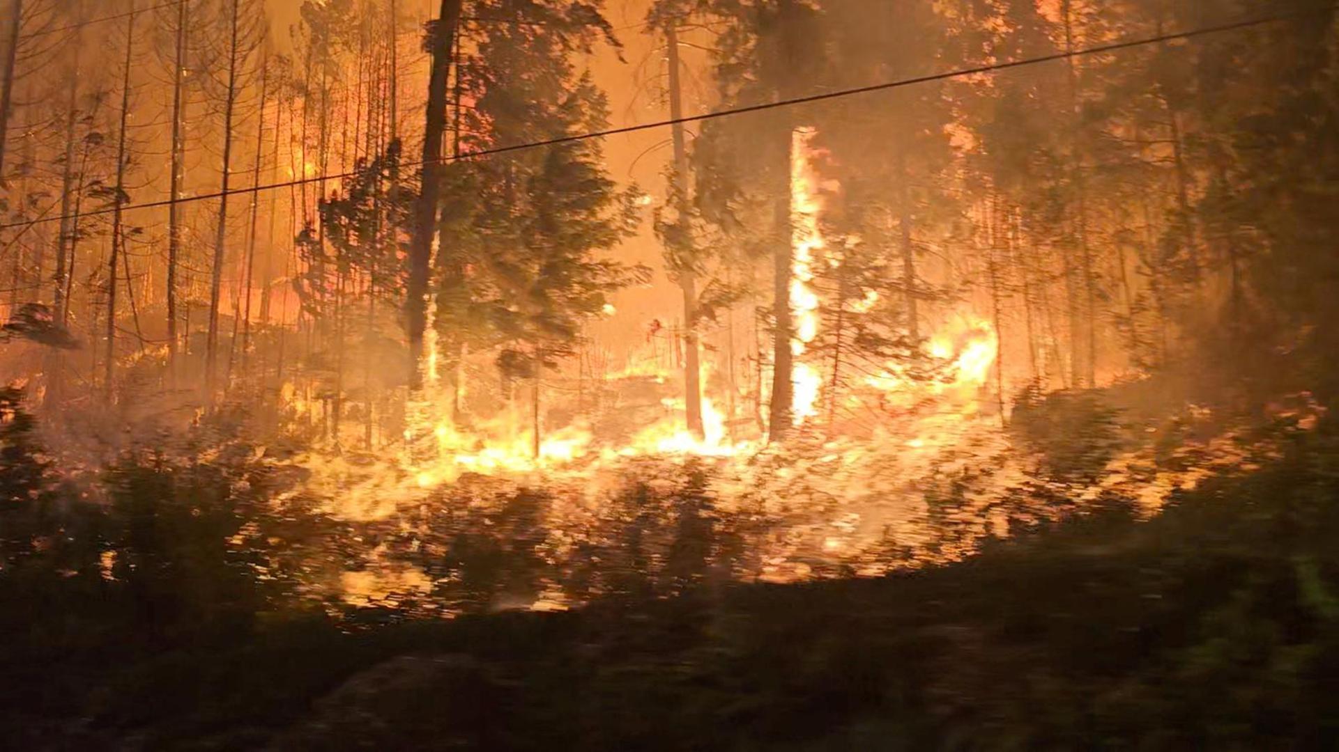 A view of fire close to highway near Sorrento, British Columbia, Canada, August 18, 2023 in this screen grab obtained from social media video. Nikki Goyer/via REUTERS  THIS IMAGE HAS BEEN SUPPLIED BY A THIRD PARTY. MANDATORY CREDIT. NO RESALES. NO ARCHIVES. Photo: NIKKI GOYER/REUTERS