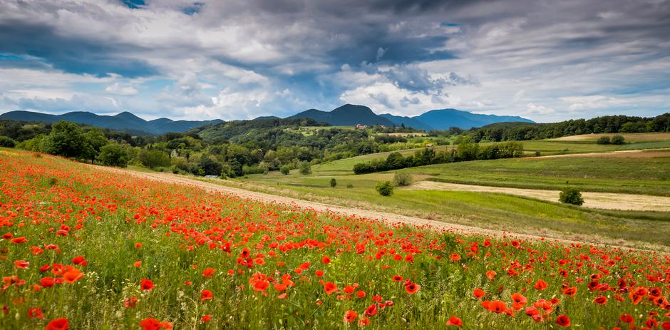 Varaždinska županija