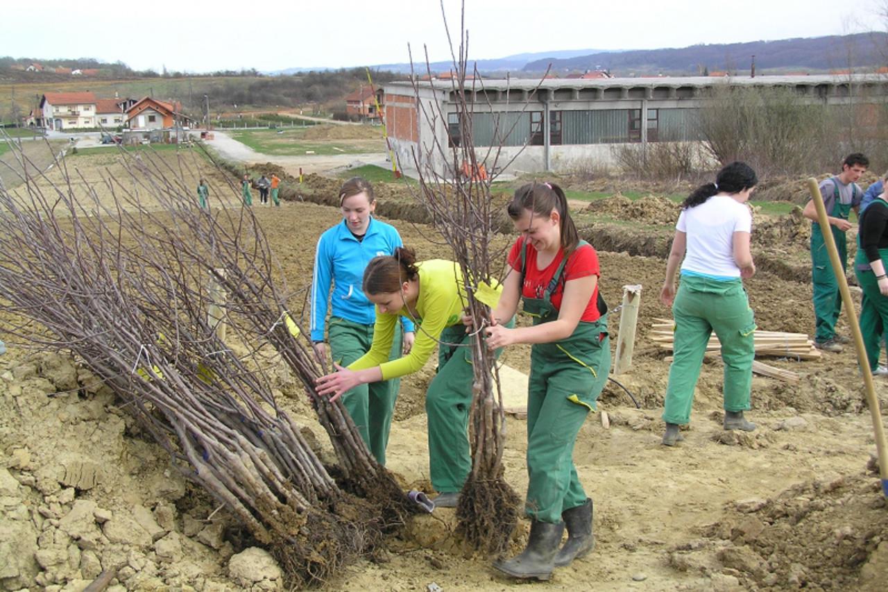 'zagorje - 01. 04. 2010.,Bedekovcina,  Hrvatska - Maturanti Poljoprivrednog ucilista Bedekovcina pripremaju se na sadnju vocnjaka'