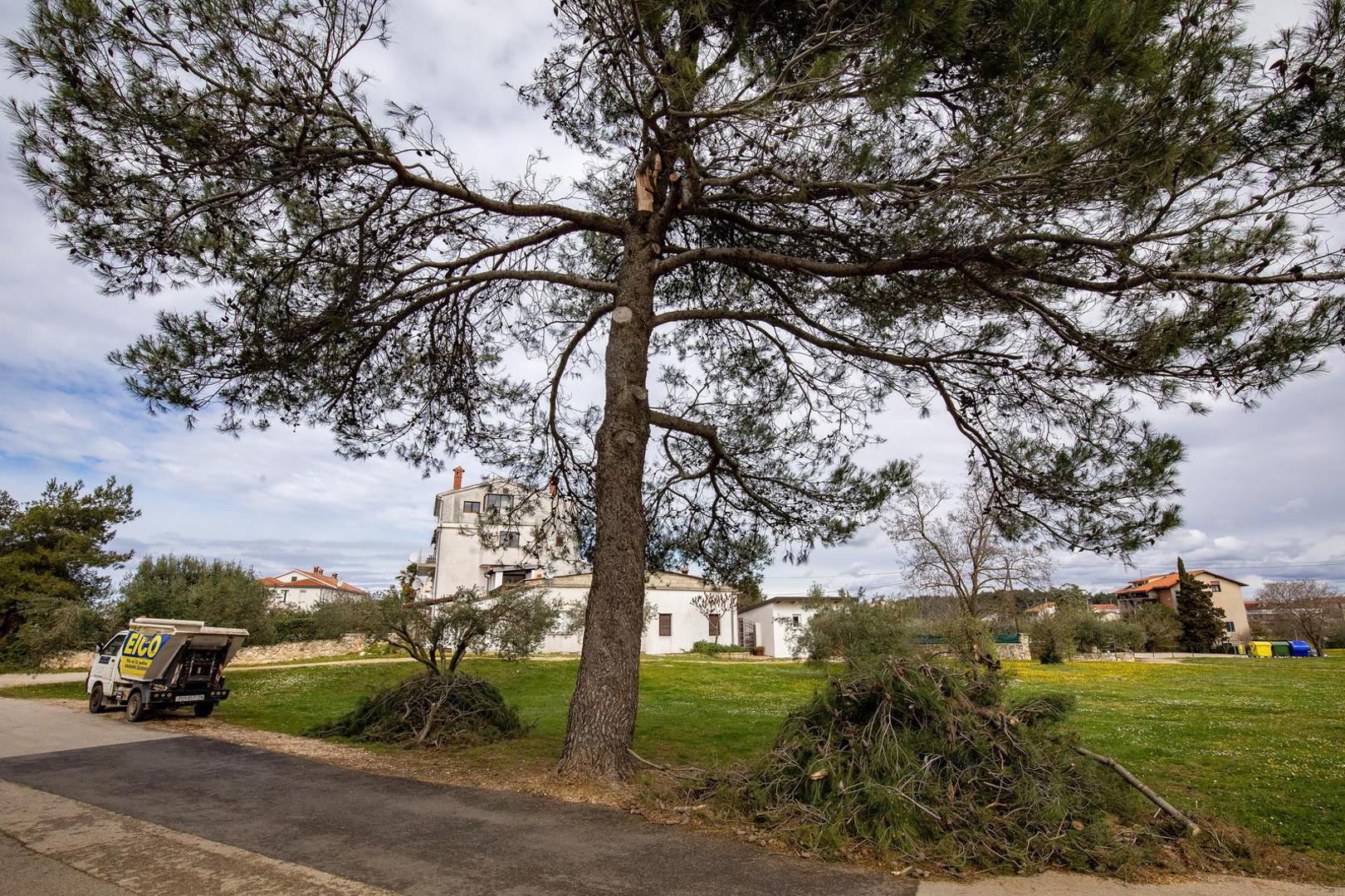 27.03.2023., Rovinj - Steta na ulicama grada koje je poharalo snazno nevrijeme.
 Photo: Srecko Niketic/PIXSELL