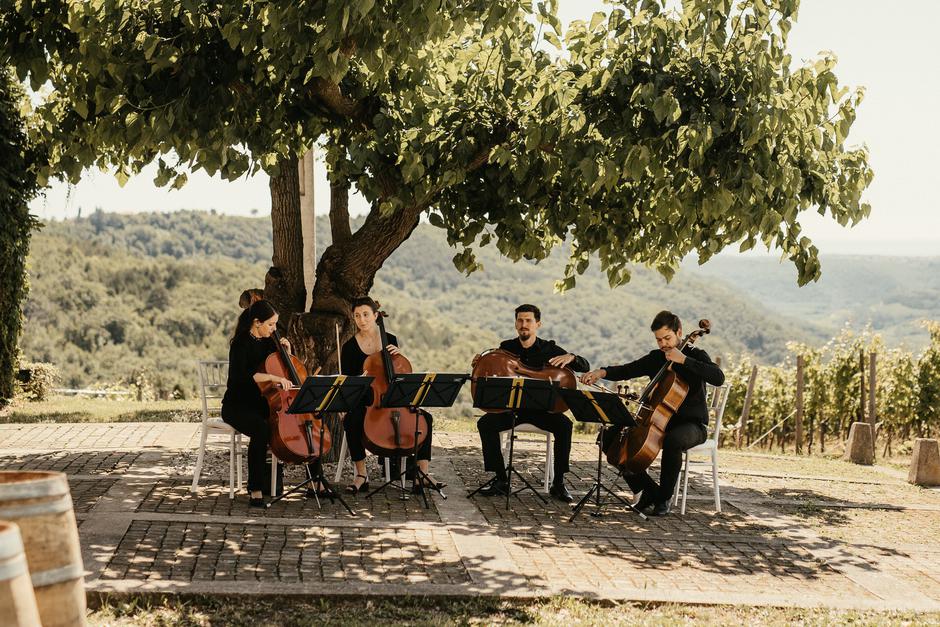 Ekološki certifikat za vina boutique vinarije BRIČ