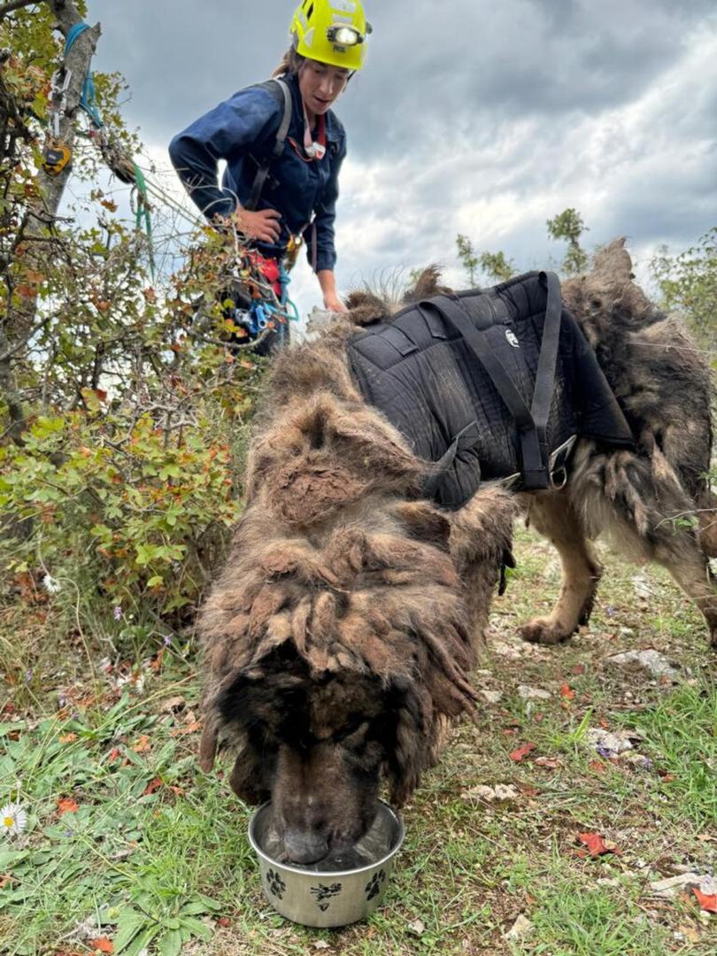 Četvero članova HGSS-a uputilo se prema mjestu, te su uspješno izvukli psa iz jame i predali ga veterinarskoj inspekciji iz Kaštela.