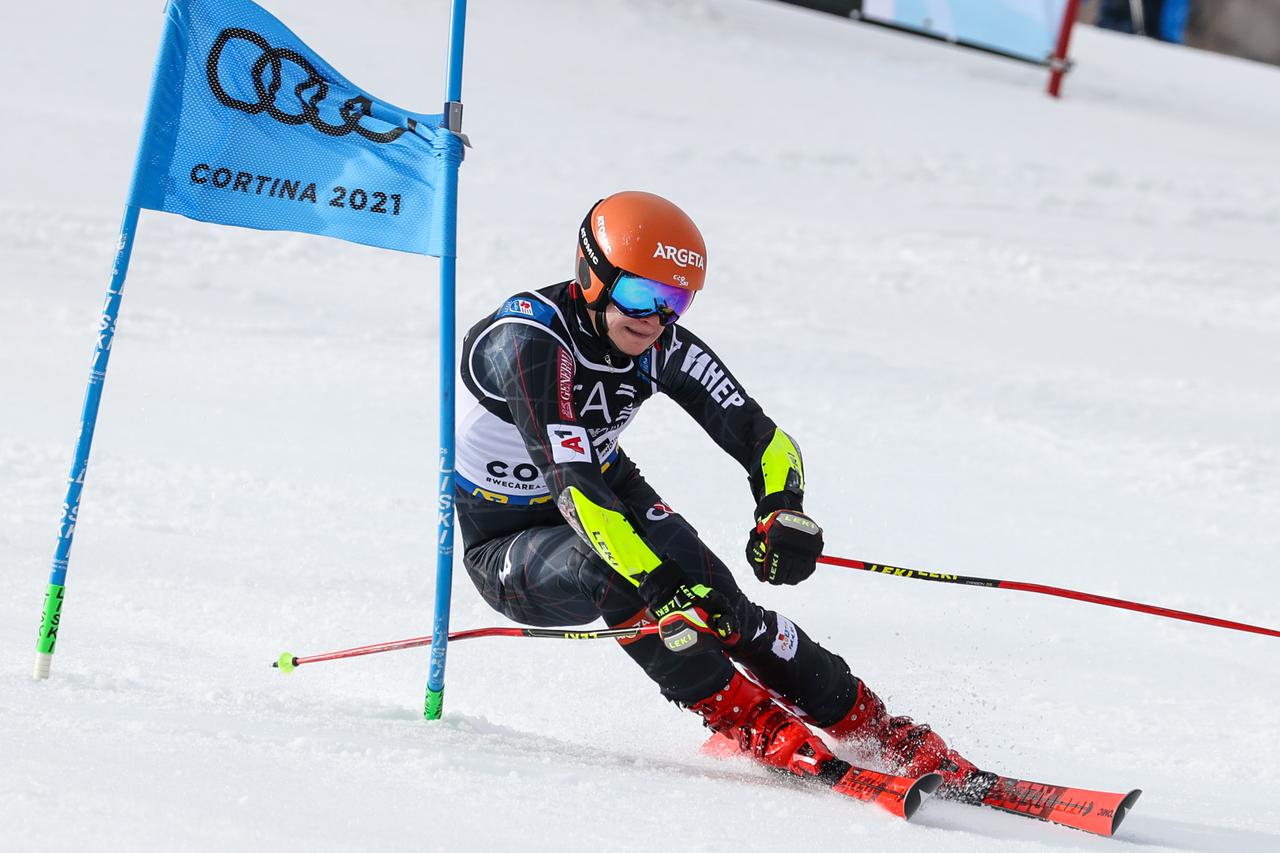 alpine ski race - 2021 FIS Alpine World SKI Championships - Parallel Giant Slalom - Men