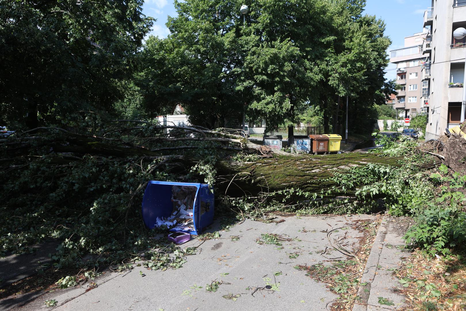 20.07.2023. Zagreb - Na Zelenom trgu palo je stablo i iscupalo kablove iz zemlje  Photo: Marko Prpic/PIXSELL