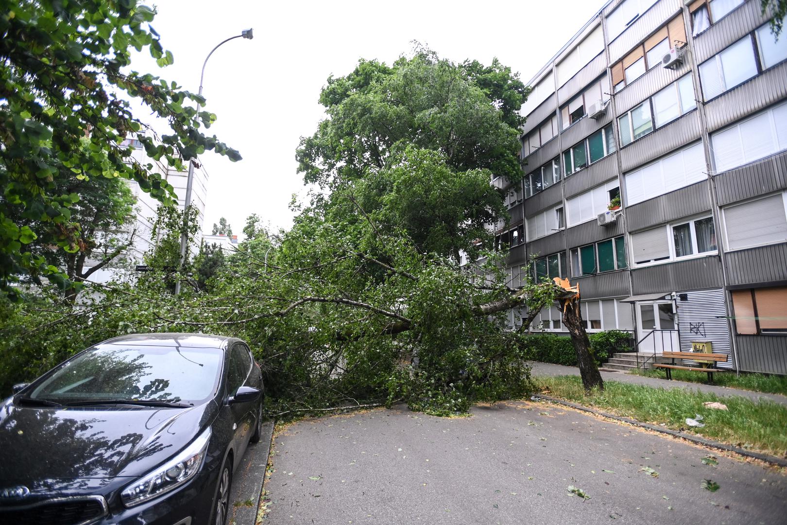 23.06.2023.,Zagreb - Olujni vjetar srusio  stablo u Ulici Ante Jaksica  , tri automobila ostecena  Photo: Igor Soban/PIXSELL