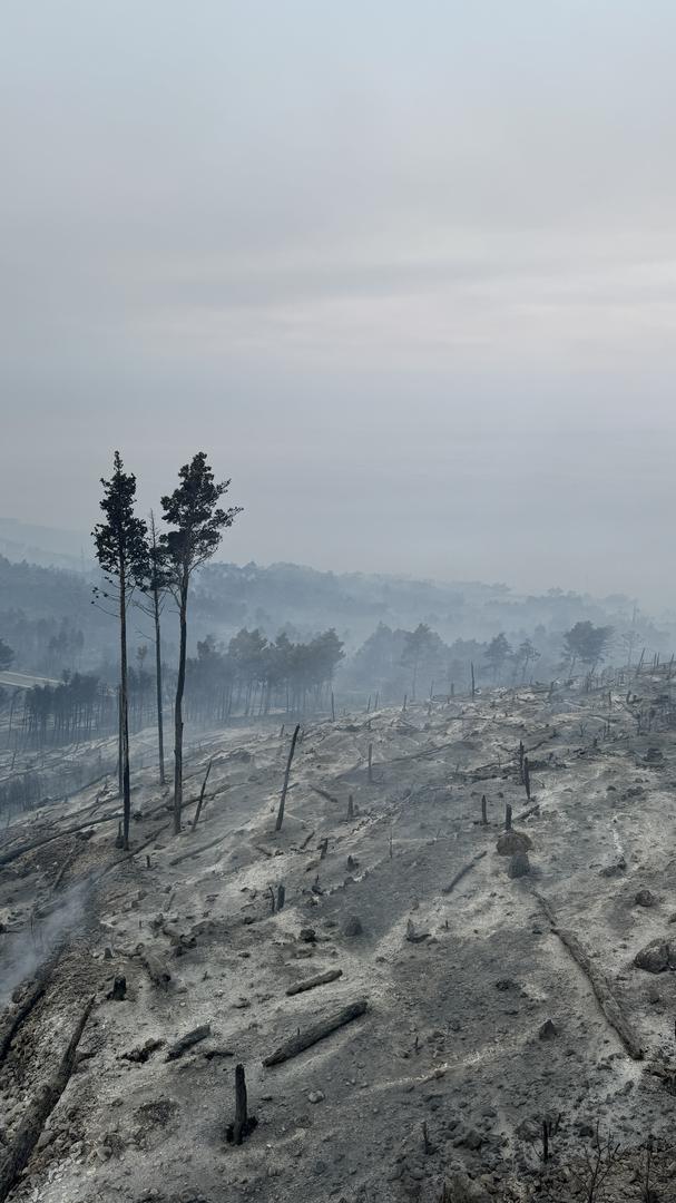 01.08.2024.,Makarska- Jutro je otkrilo katastrofu opozarene povrsine na podrucju Parka prirode Biokovo. Photo: Ivo Cagalj/PIXSELL