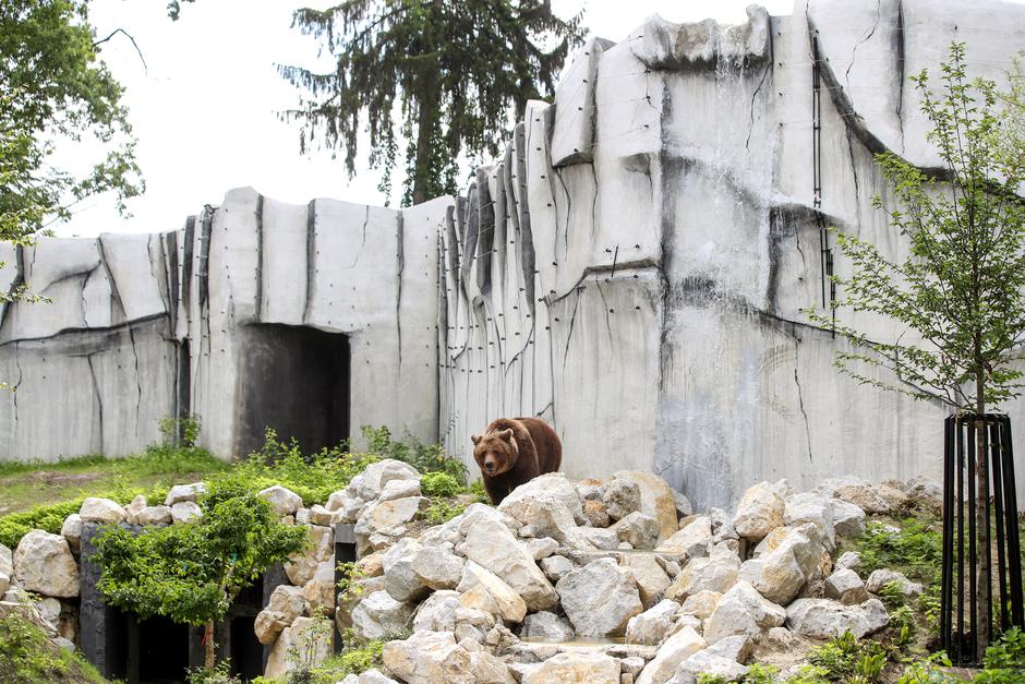 Zoološki vrt Zagreb bogatiji za nove uređene objekte