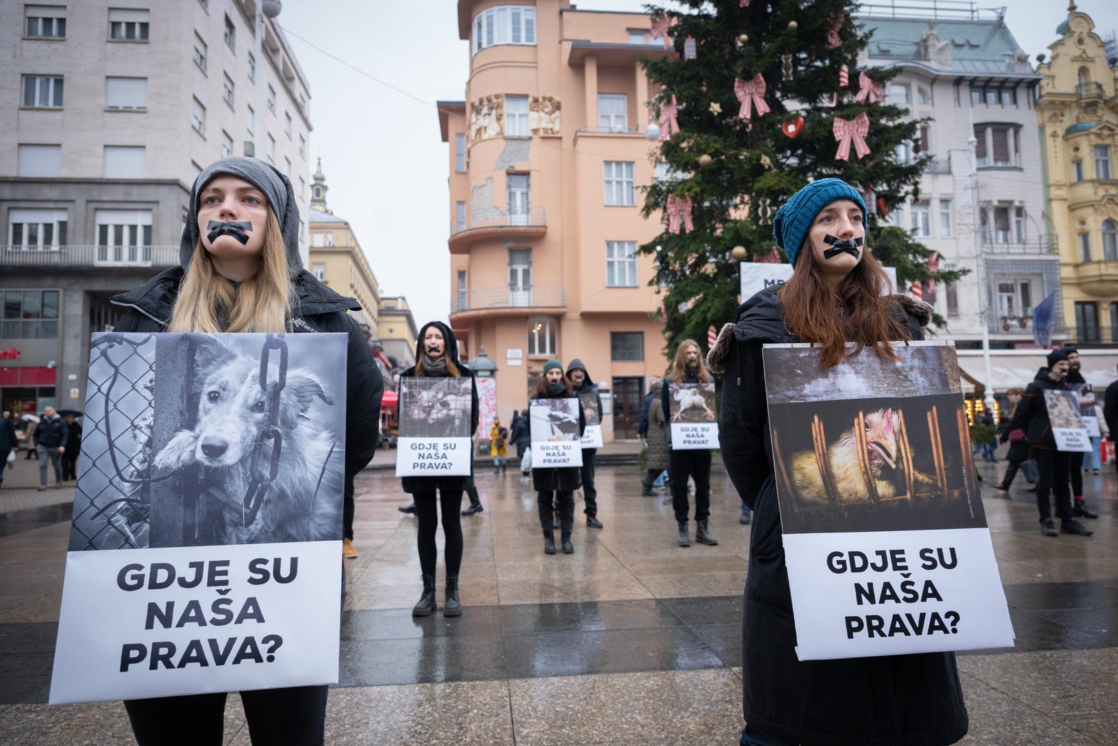 "Vjerujemo da smo ovim performansom potaknuli prolaznike na razmišljanje o etičkim aspektima našeg odnosa prema životinjama. 