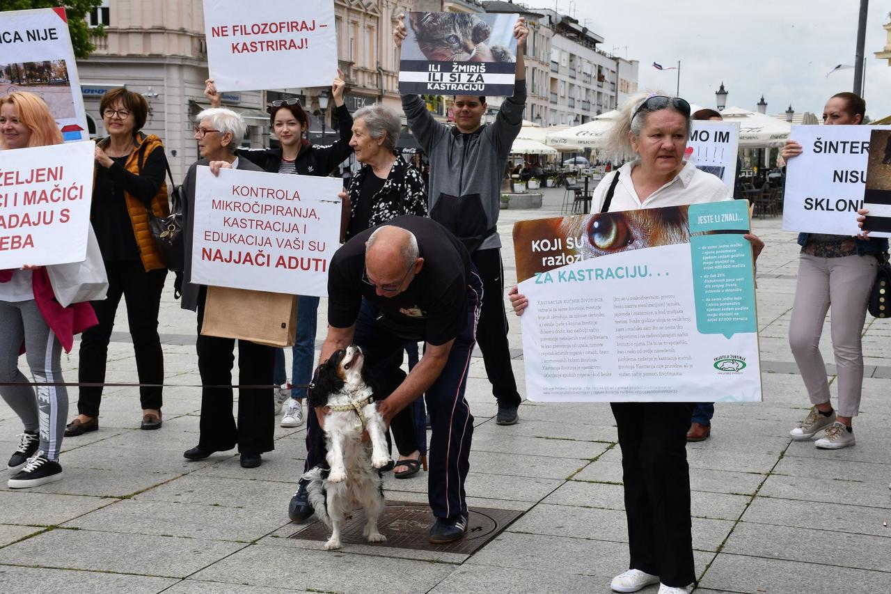 Slavonski Brod: Prosvjedni skup ljubitelja životinja Ulica bez lutalica