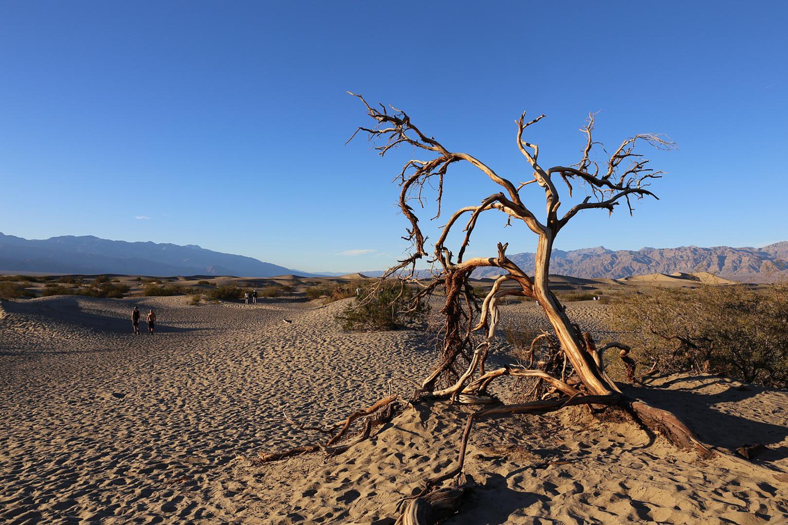5. 53,9 °C - Furnace Creek, Dolina smrti, Kalifornija, SAD, 30. lipnja 2013. godine​