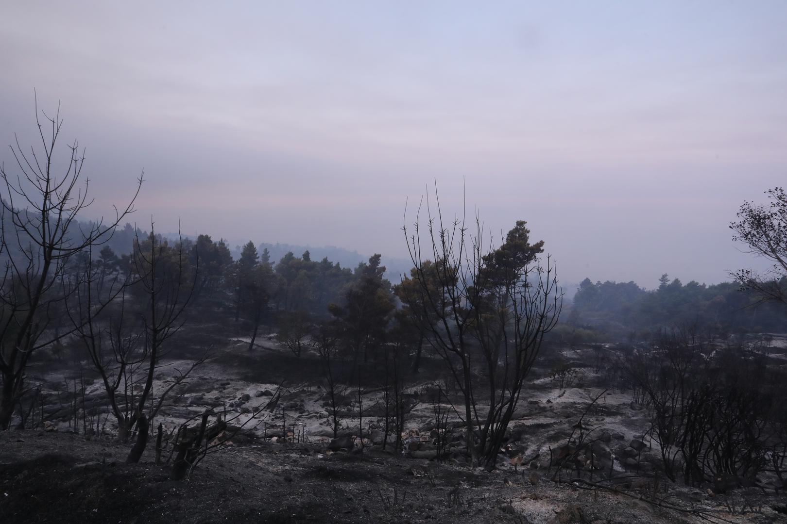 01.08.2024.,Makarska- Jutro je otkrilo katastrofu opozarene povrsine na podrucju Parka prirode Biokovo. Photo: Ivo Cagalj/PIXSELL