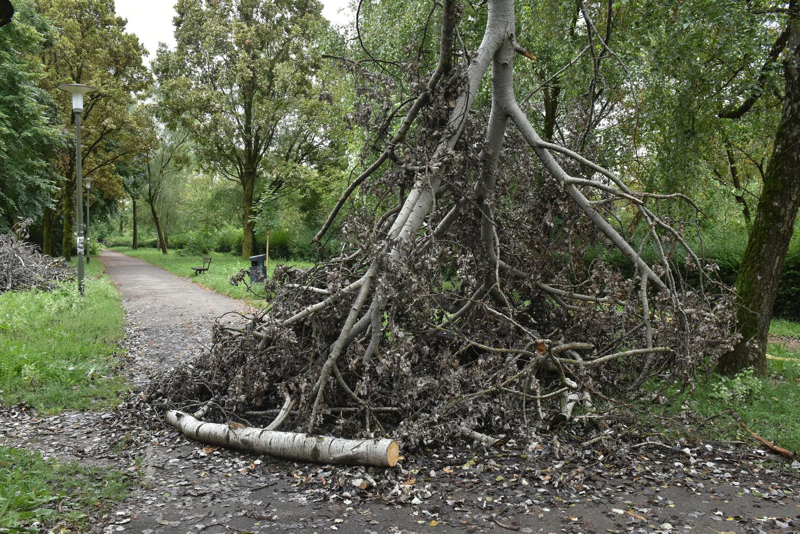 30.8.2023., Zagreb - Reportaza iz Novog Zagreba cije su javne povrsine zapustene. Photo: Davorin Visnjic/PIXSELL