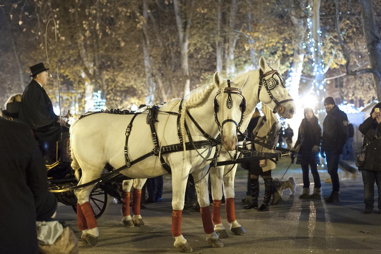 Advent na Zrinjevcu