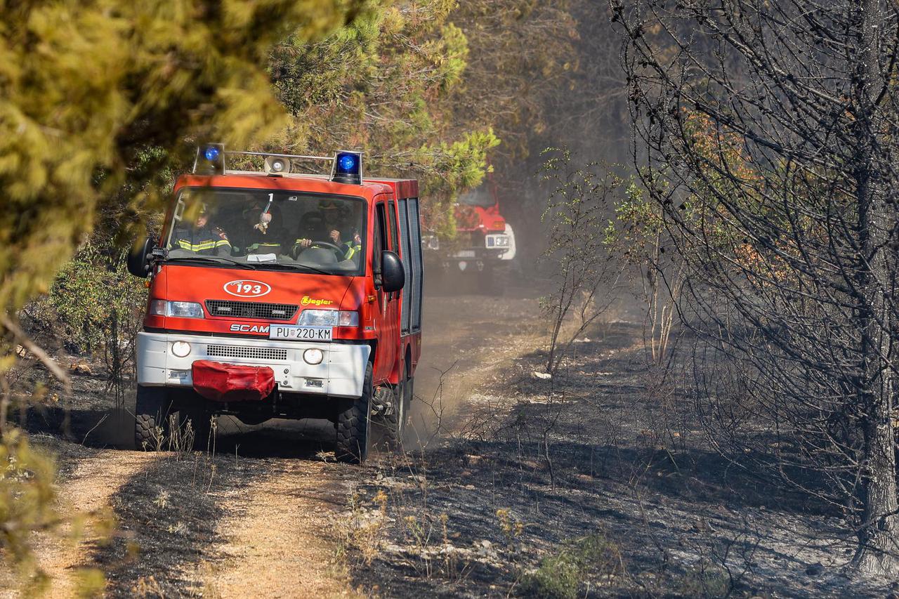 Barban: Veliki požar izbio u Punteri