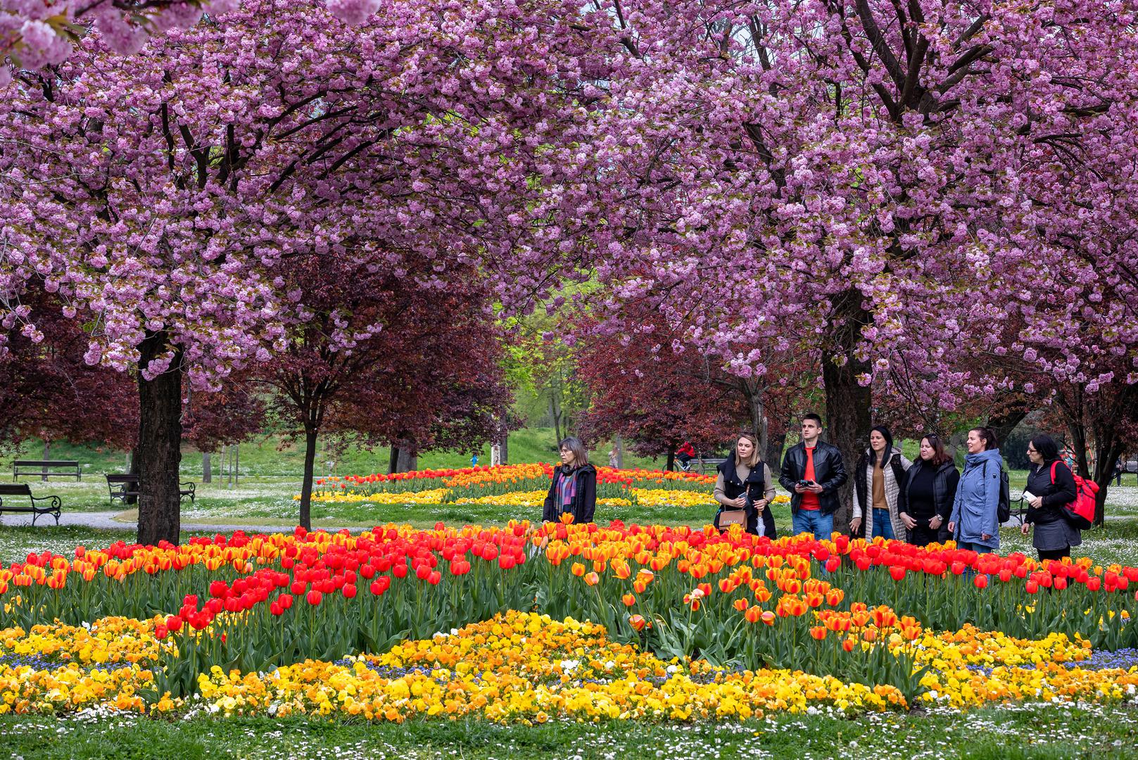 17.04.2023., Osijek - Park kralja Petra Kresimira IV u bojama proljeca. Photo: Davor Javorovic/PIXSELL