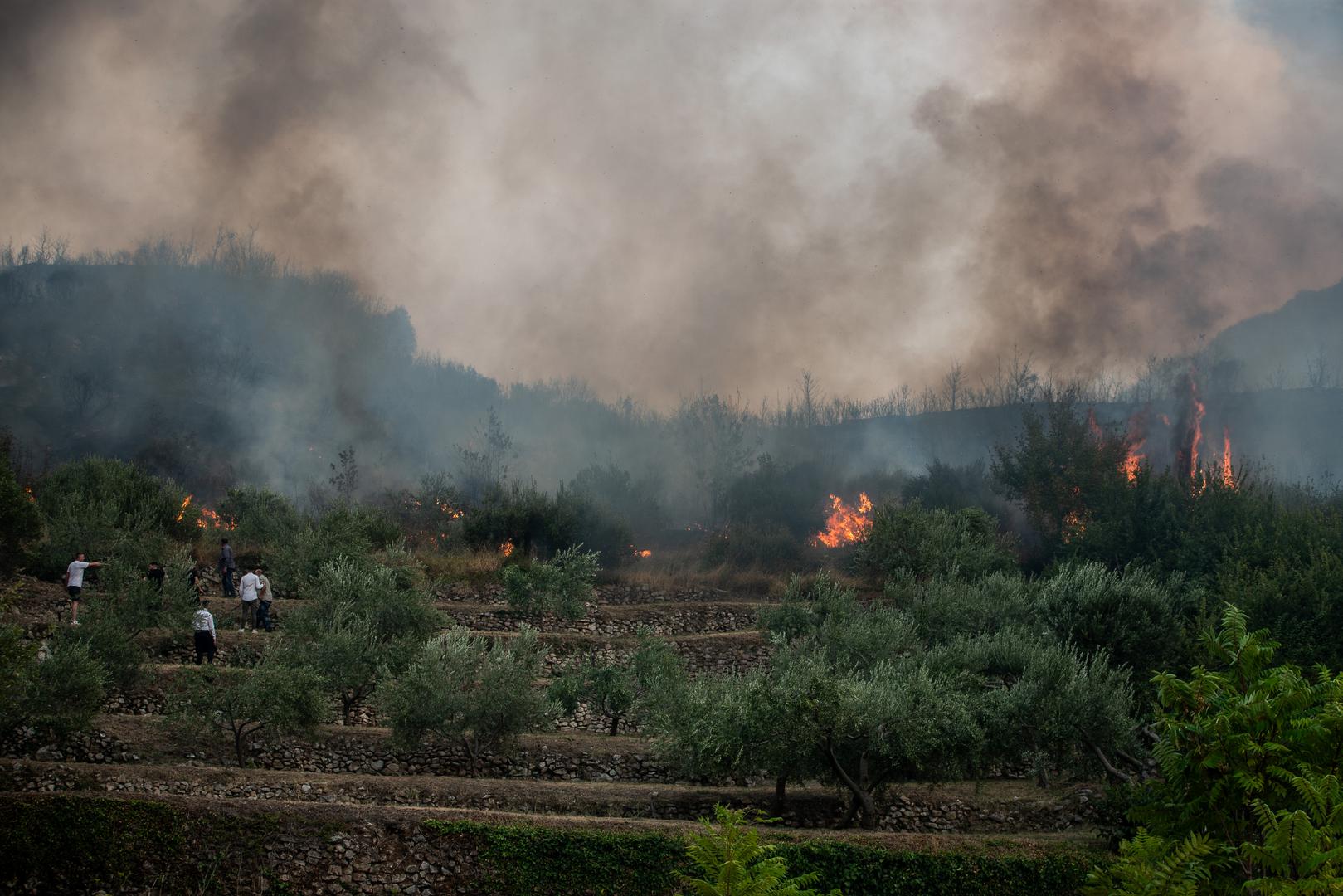 27.08.2024., Zrnovnica - U poslijepodnevnim satima vjetar je ponovno razbuktao pozar koji je usao u Zrnovnicu. Photo: Zvonimir Barisin/PIXSELL