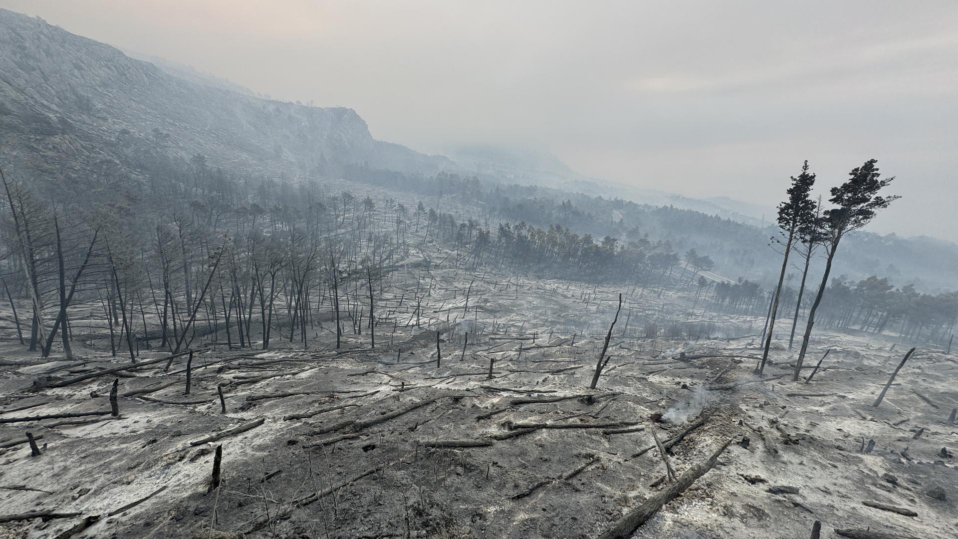 01.08.2024.,Makarska- Jutro je otkrilo katastrofu opozarene povrsine na podrucju Parka prirode Biokovo. Photo: Ivo Cagalj/PIXSELL