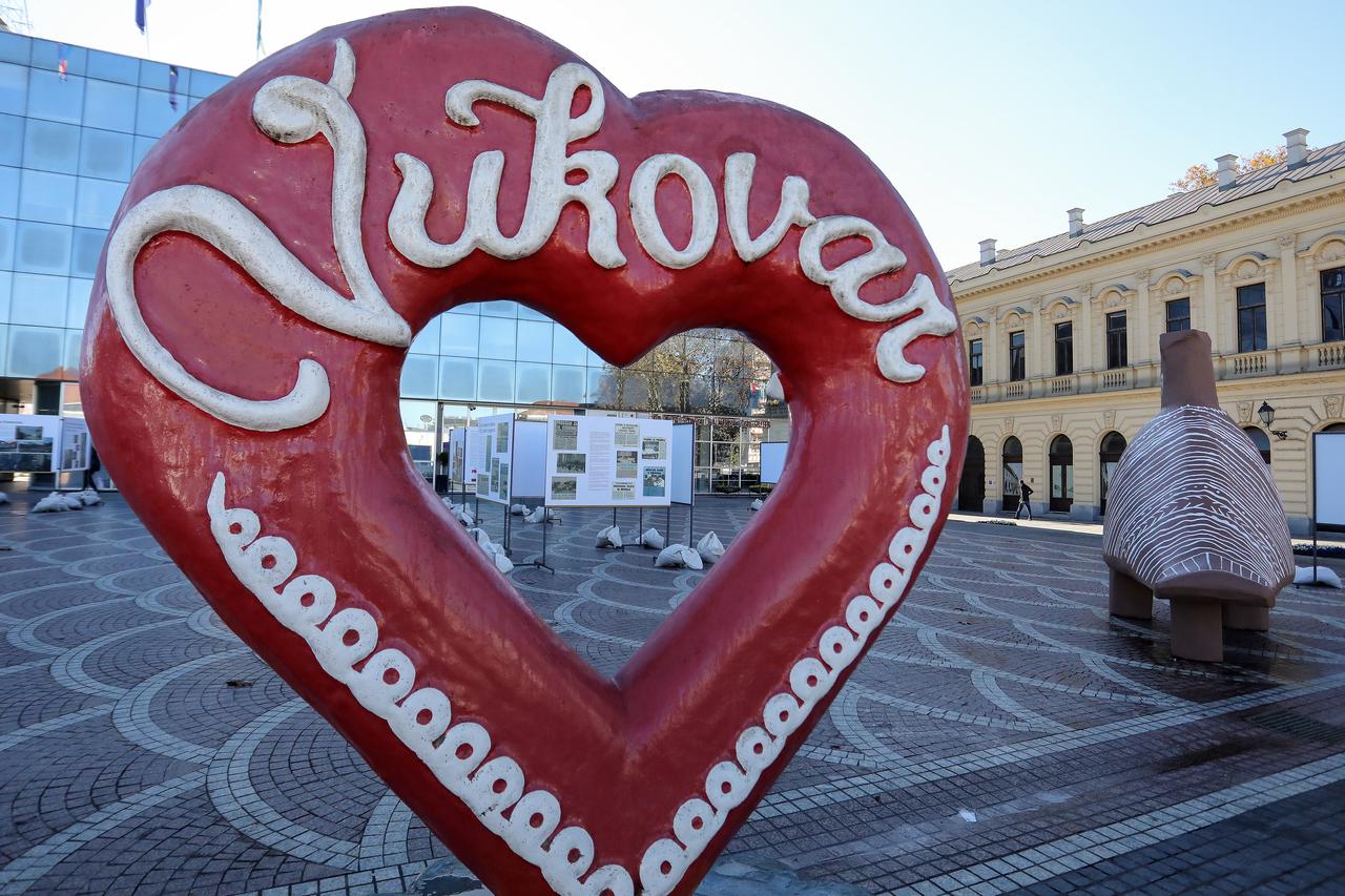 Vukovar: Postavljena izložba fotografija i tekstova iz nedavno objavljene monografije "Sjećanje na žrtvu Vukovara 1991."