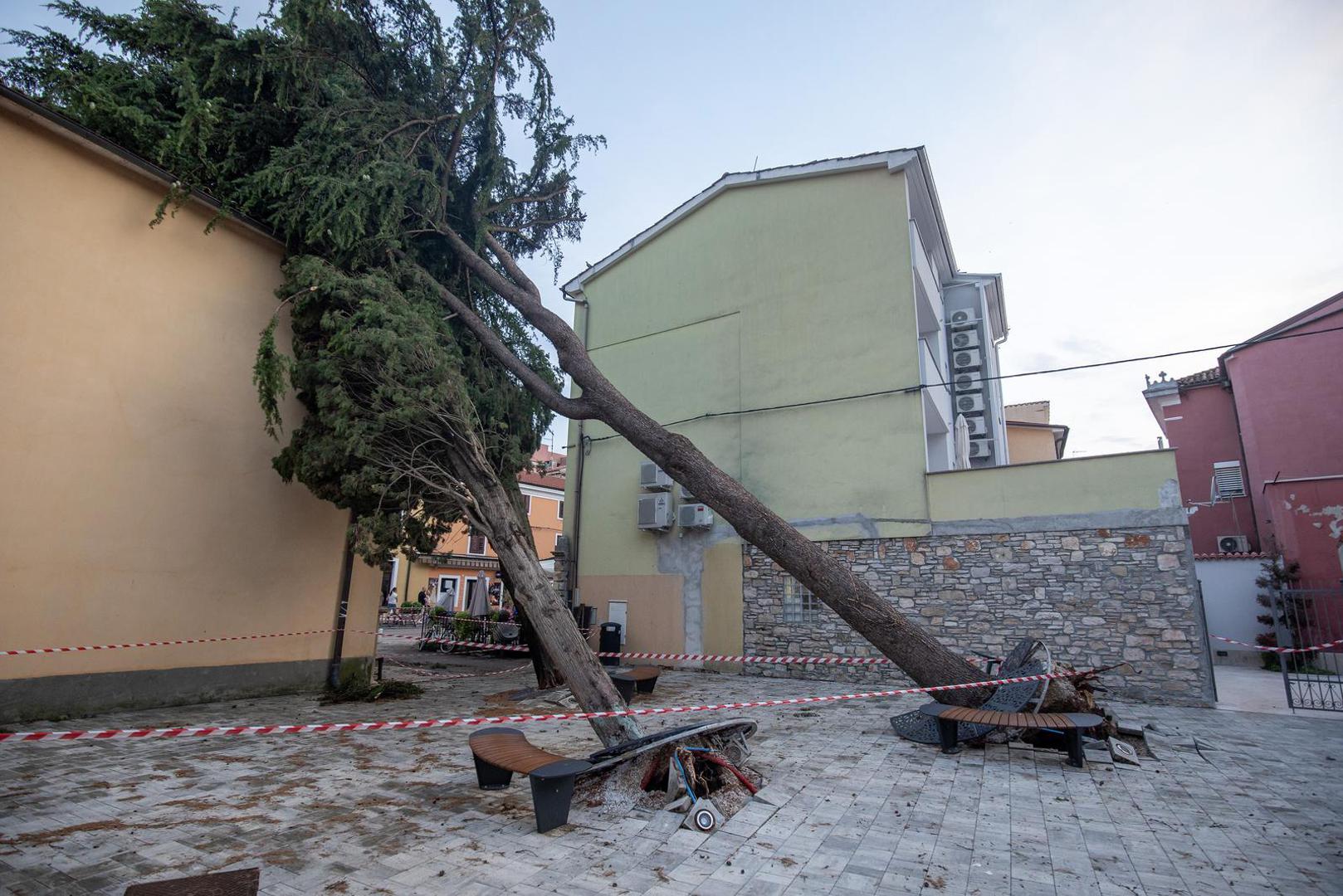 21.07.2023., Novigrad - Jako olujno nevrijeme pogodilo je  Istruu, a najvise je stradao  zapadni dio poluotoka, posebno  Novigrad, gje je nastala velika steta na sirem podrucju grada. Photo: Srecko Niketic/PIXSELL