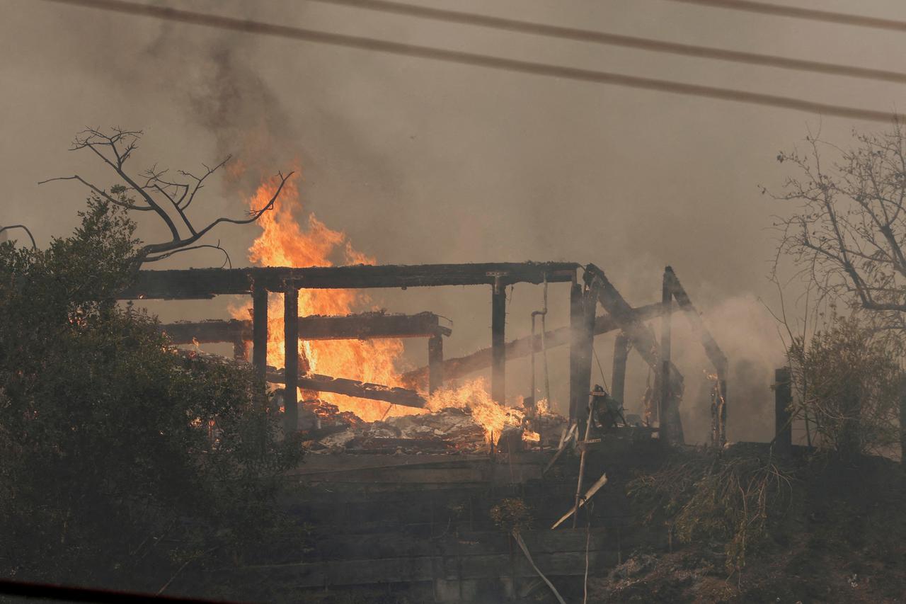 Palisades fire destroys homes in California