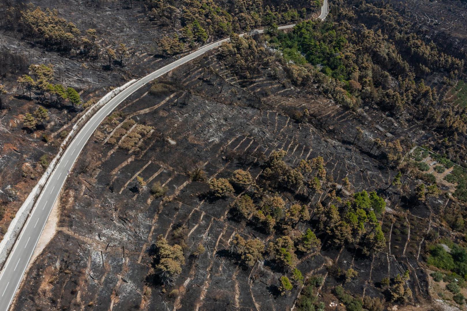 03.08.2024. Gornje Tucepi
Fotografije iz zraka opožarenog podrucja od Tucepi do Gornje Podgore i Parka prirode Biokovo. Photo: Matko Begovic/PIXSELL