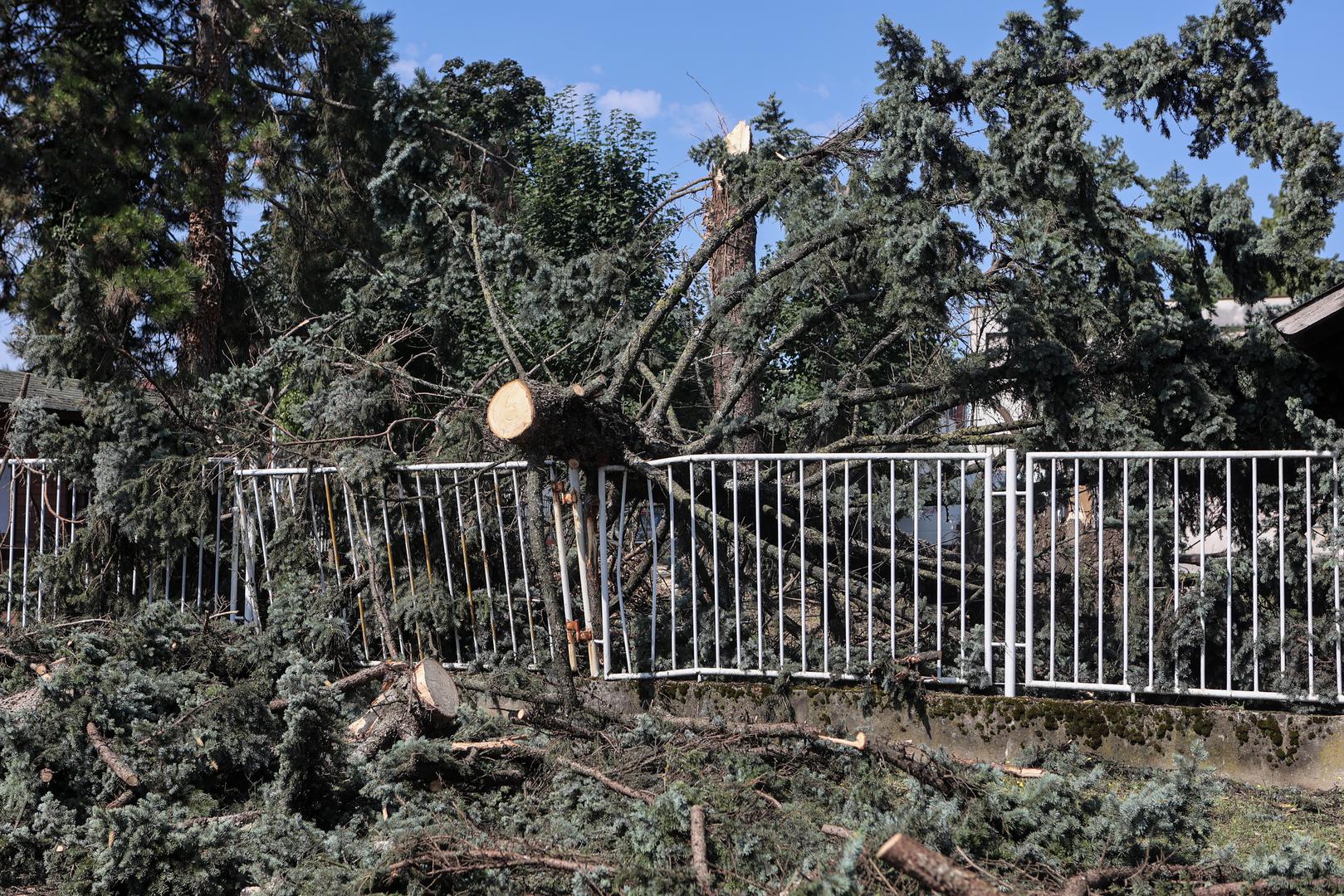 20.07.2023., Zagreb, Hrvatska - U ulici Frana Folnegovica na broju 10 palo je nekoliko stabala. Photo: Marko Prpic/PIXSELL