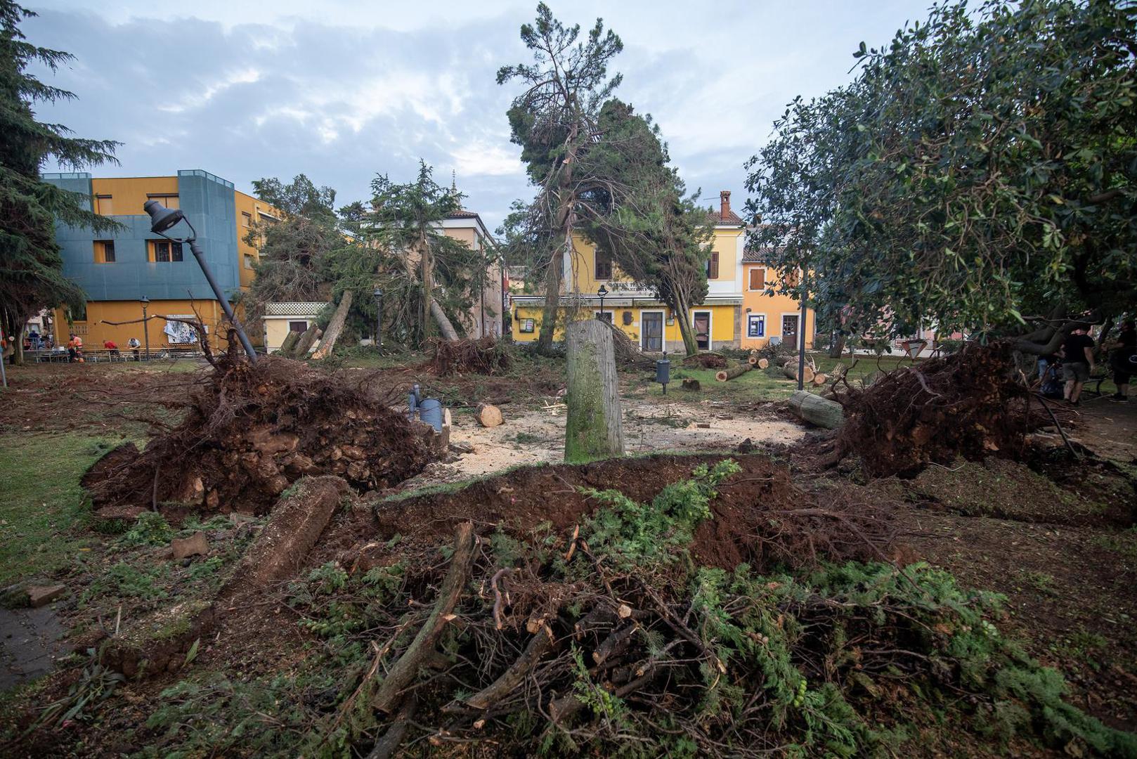 21.07.2023., Novigrad - Jako olujno nevrijeme pogodilo je  Istruu, a najvise je stradao  zapadni dio poluotoka, posebno  Novigrad, gje je nastala velika steta na sirem podrucju grada. Photo: Srecko Niketic/PIXSELL