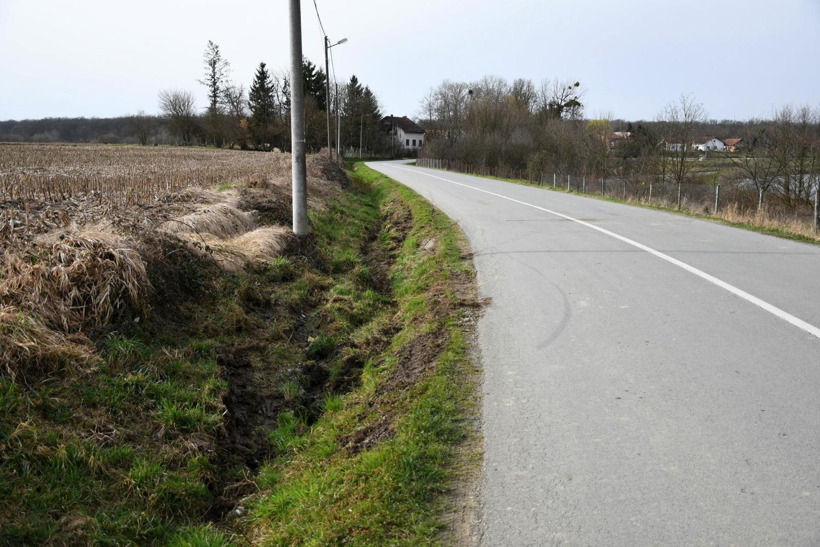 04.03.2024., Siscani - Putni jarak i rasvjetni stup u mjestu Siscani pored Cazme gdje je sletio autobus pun skolske djece. Srecom nema ozlijedjenih, a autobus je ekspresno uklonjen sa zavojitog ijela ceste.   Photo: Damir Spehar/PIXSELL