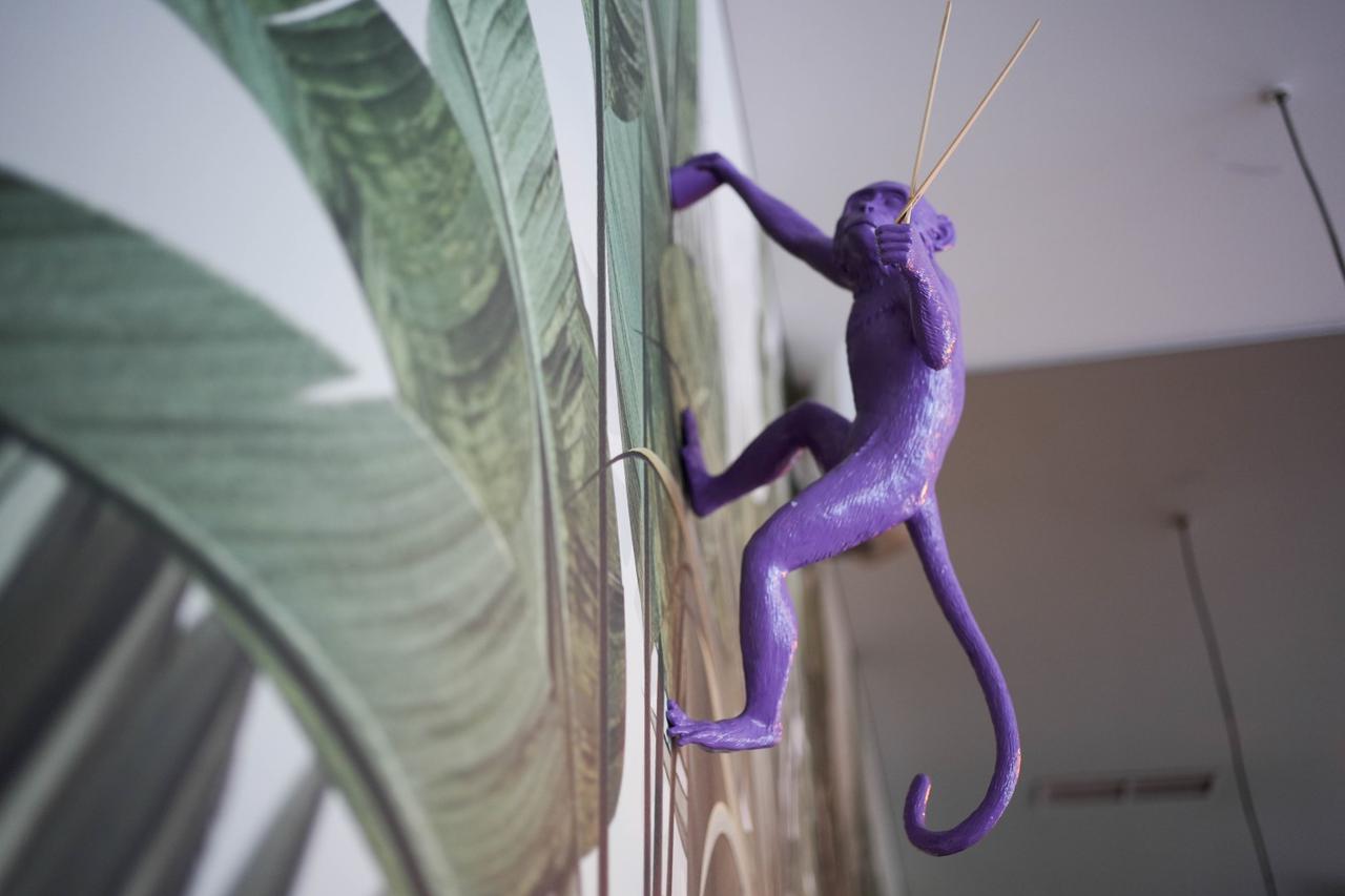 Purple Monkey