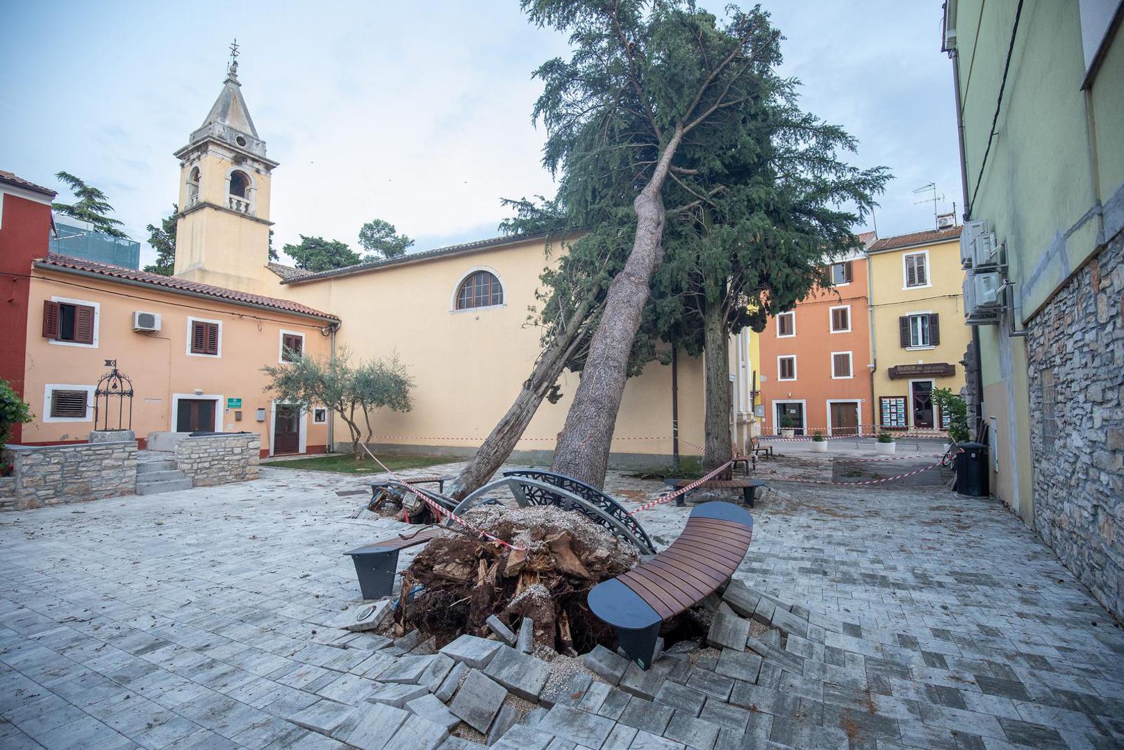 21.07.2023., Novigrad - Jako olujno nevrijeme pogodilo je  Istruu, a najvise je stradao  zapadni dio poluotoka, posebno  Novigrad, gdje je u autokampu  irena vjetar iscupao na desetine stabala, srecom nitko nije stradao.  Photo: Srecko Niketic/PIXSELL