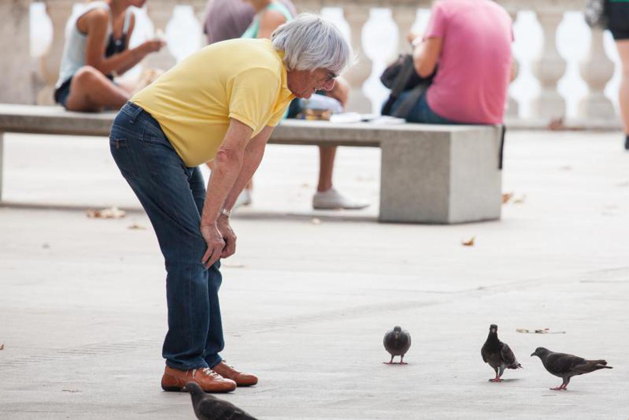 bernie ecclestone