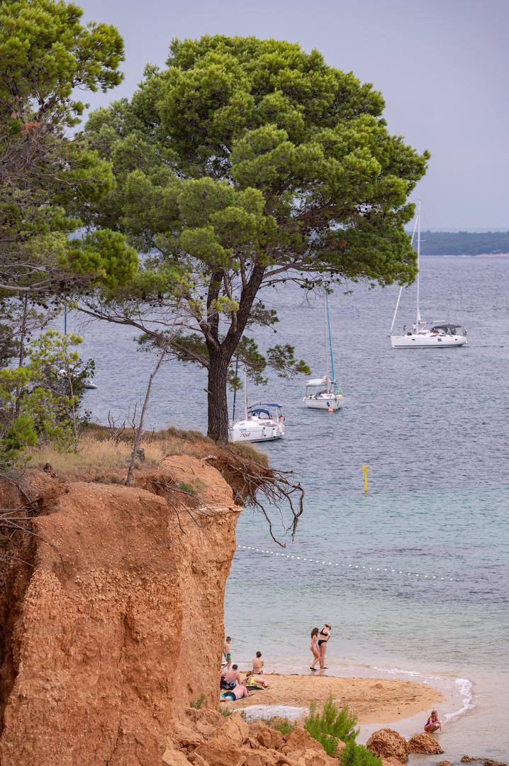 13.07.2023., Vrgada - Vecernjakova turisticka patrola. Stablo odoljeva eroziji tla.  Photo: Dino Stanin/PIXSELL